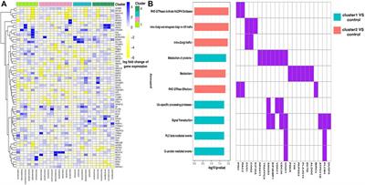 Adverse effect signature extraction and prediction for drugs treating COVID-19